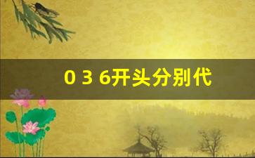 0 3 6开头分别代表什么股票(股票不同开头代表什么)_https://www.gen-fastener.com_上期所_第1张